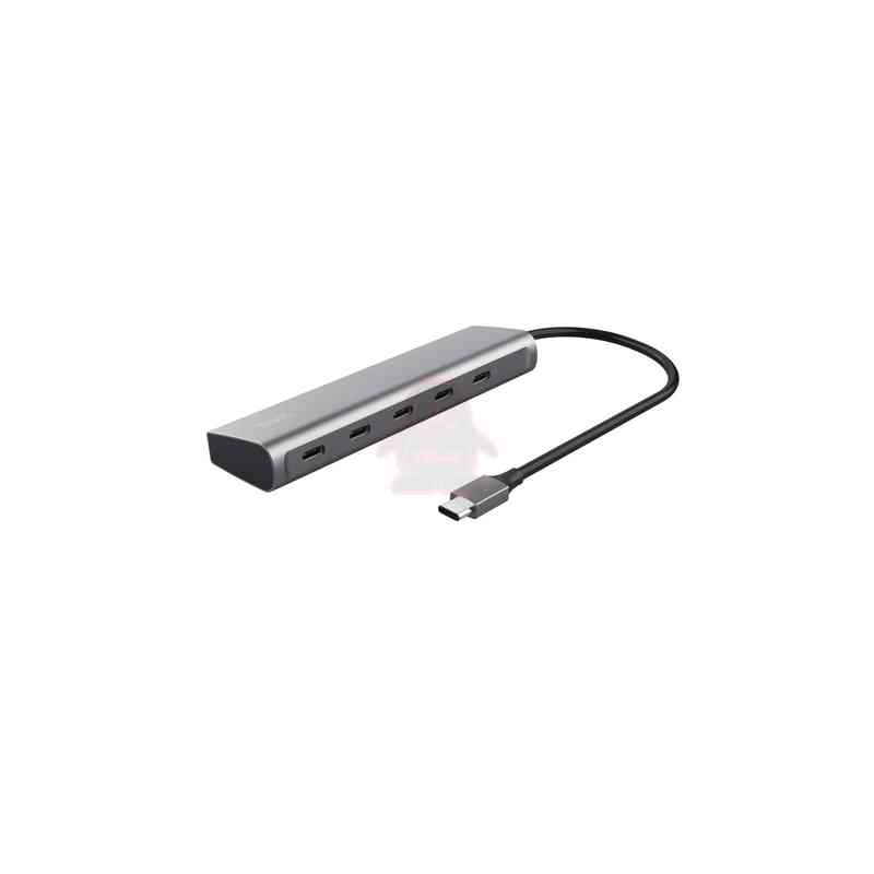 Trust Halyx USB 3.2 Gen 1 (3.1 Gen 1) Type-C Argento