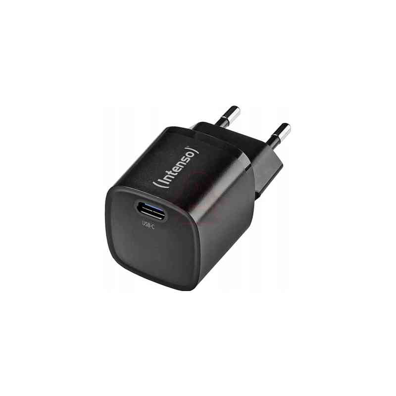 INTENSO ALIMENTATORE FAST 30W 1 ENTRATA USB C, GAN, BIANCO