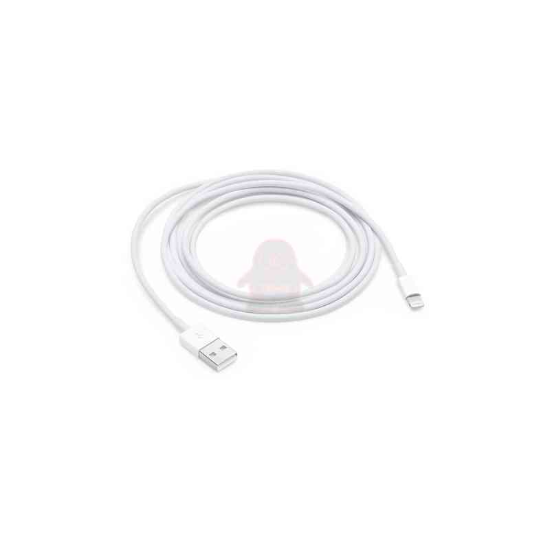 APPLE CAVO LIGHTNING TO USB CABLE (2 M)