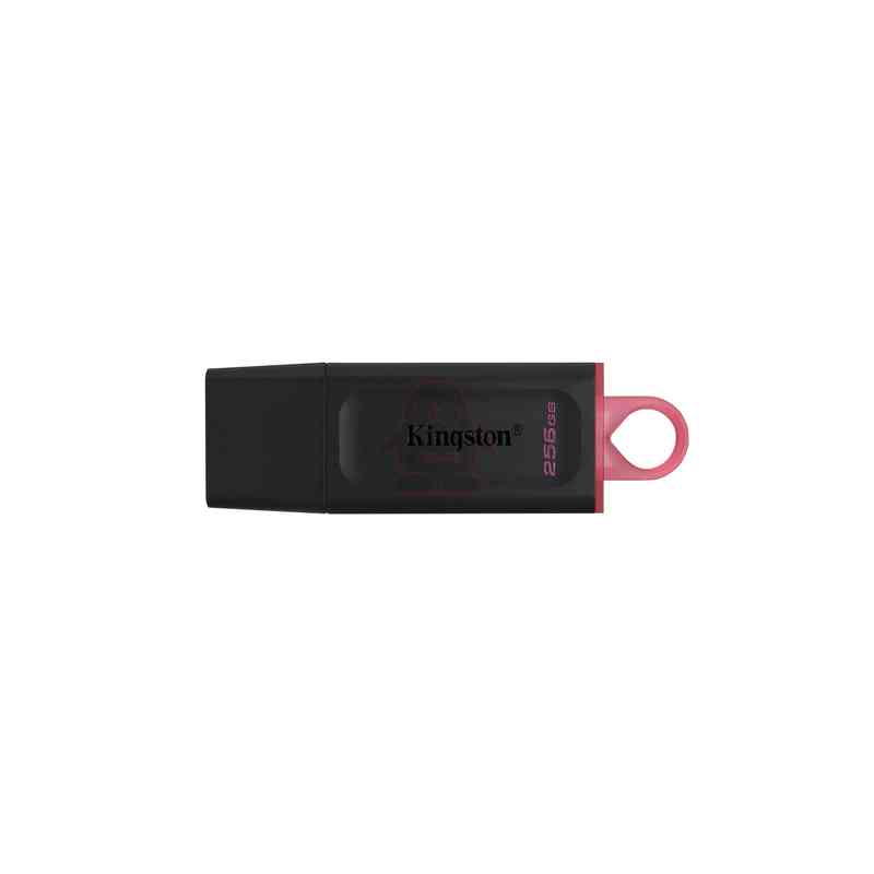 Kingston Technology DataTraveler Drive Flash USB 3.2 - USB ® Exodia
