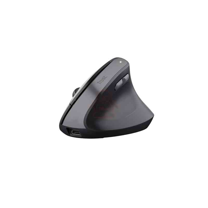 Trust TM-270 mouse Ufficio Mano destra RF Wireless Ottico 2400 DPI