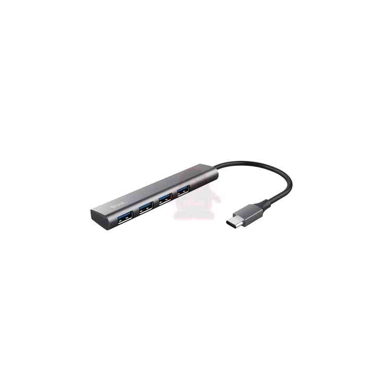 Trust Halyx USB 3.2 Gen 1 (3.1 Gen 1) Type-A 5 Mbit/s Grigio